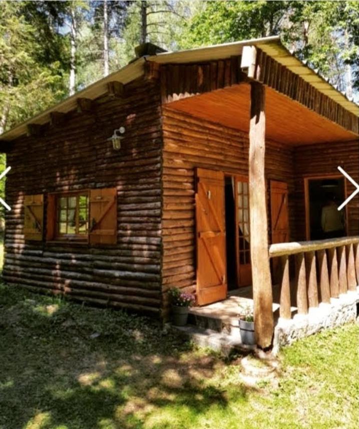 Ma Cabane Au Bord Du Lac Neuvic  ภายนอก รูปภาพ